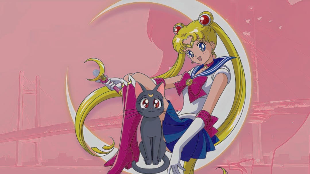 Sailor Moon NASA