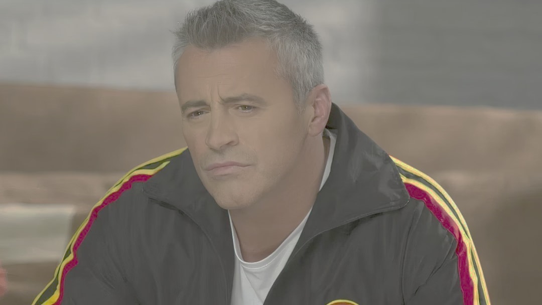 Matt LeBlanc série Flint