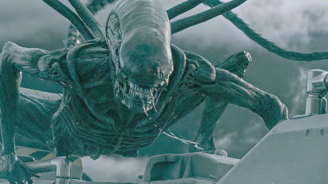 Alien Covenant xenomorfos