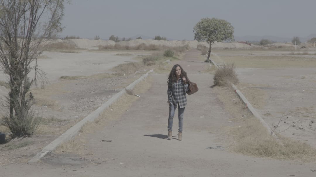 Queen of the South Netflix