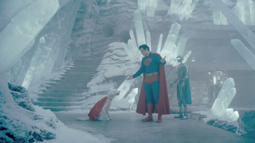 Krypto Saves the Day série animada