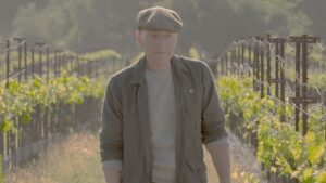 Star Trek Picard equilíbrio entre fan service e narrativa