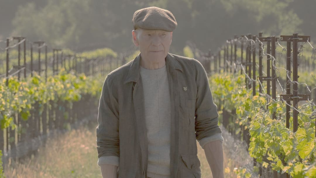 Star Trek Picard equilíbrio entre fan service e narrativa