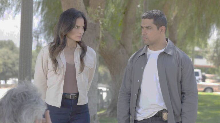 fim da era NCIS com novos spinoffs