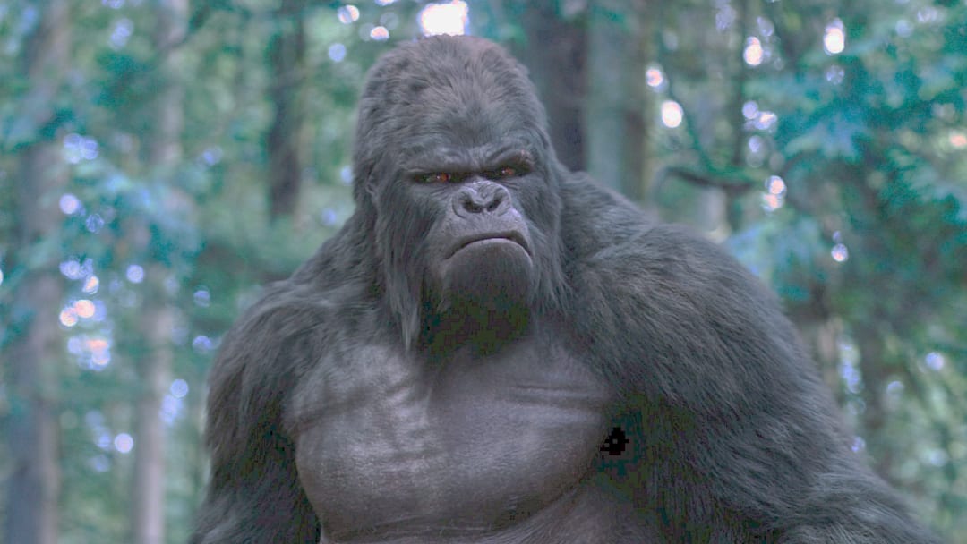 Gorilla Grodd Superman