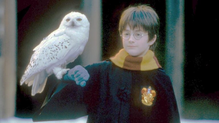 Harry Potter 25 anos celebrações e reedições