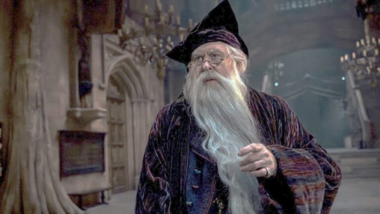 Harry Potter série HBO